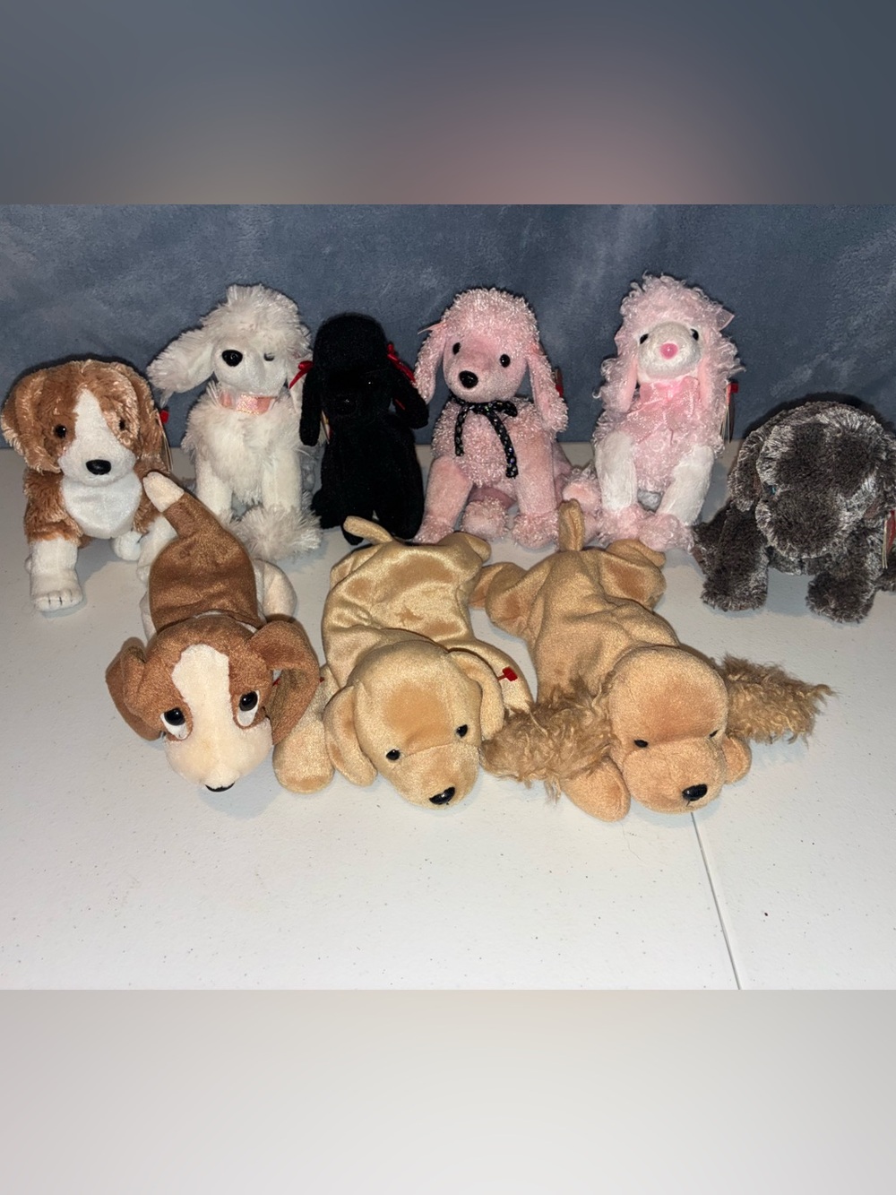 9 Vintage Ty Beanie Babies Dog Lot Tracker Frisbee Divalightful Bridget GiGi Etc